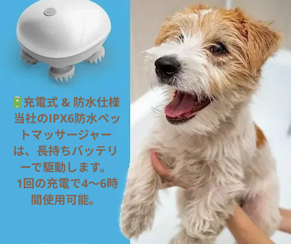 Neo™🐾✨【極上の癒しタイム】電動ねこマッサージャー